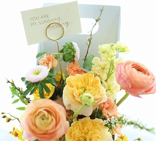 HW 12 Inch Golden Ring Card Holders 40PCS