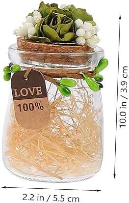 STOBAZA 4Pcs Candy Containers with Cork for Wedding Decor and Storage