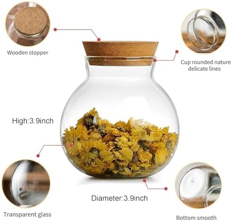 17oz Spherical Glass Jar with Cork Lid Airtight