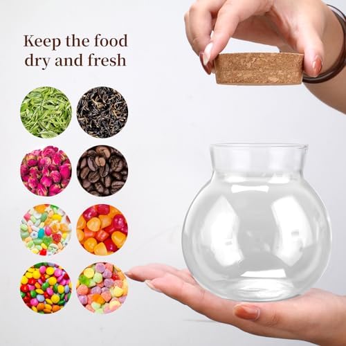 17oz Spherical Glass Jar with Cork Lid Airtight