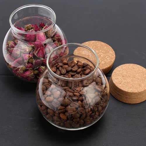 17oz Spherical Glass Jar with Cork Lid Airtight