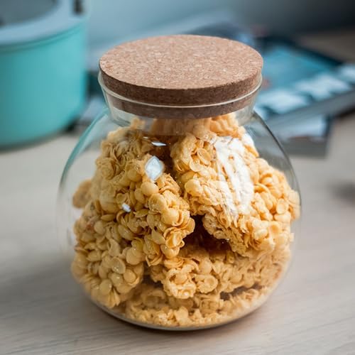 17oz Spherical Glass Jar with Cork Lid Airtight
