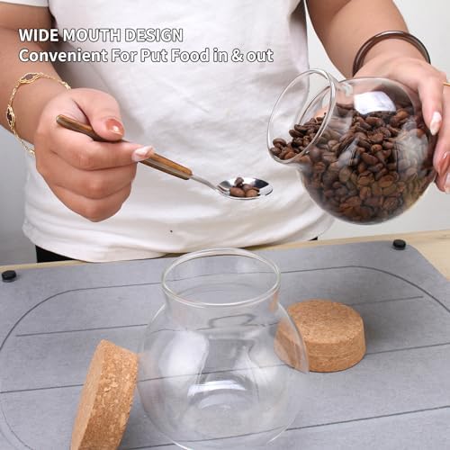17oz Spherical Glass Jar with Cork Lid Airtight