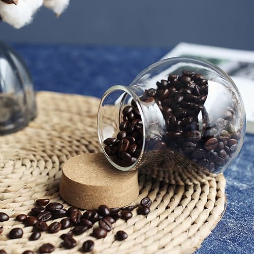17oz Spherical Glass Jar with Cork Lid Airtight