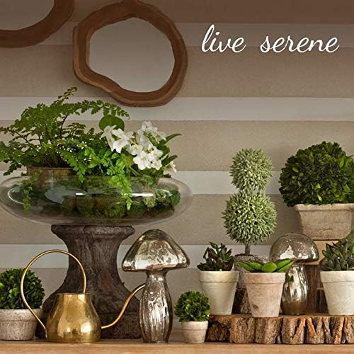 Serene Spaces Living Artisanal Gold Iron Bowl