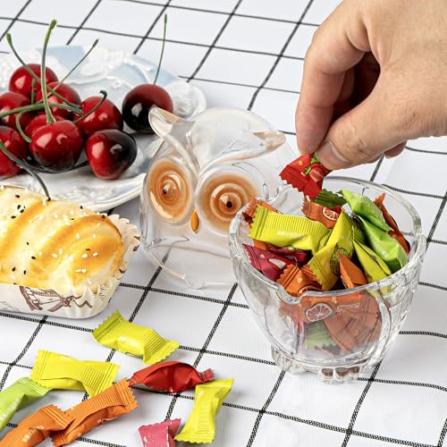 Owl Candy Jar Glass Storage Container Decorative Serving Dish