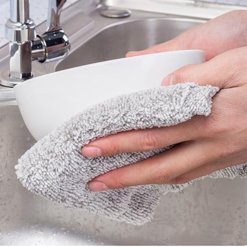 20 Pack Super Soft Dish Cloths 10x10 Coral Velvet Microfiber