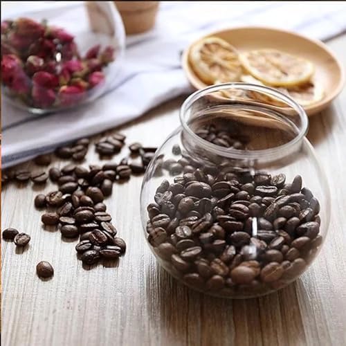 17oz Spherical Glass Jar with Cork Lid Airtight