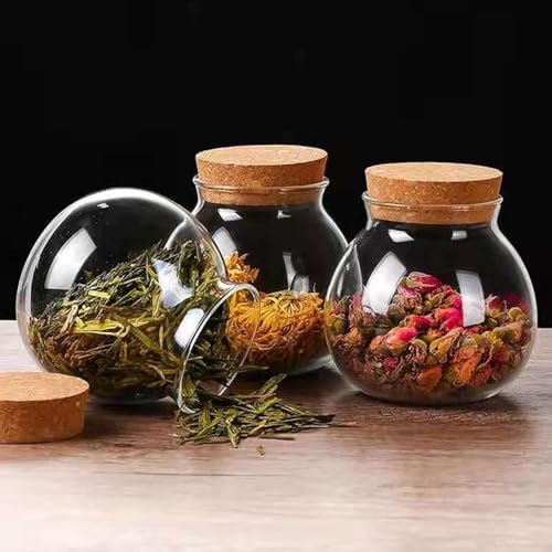 17oz Spherical Glass Jar with Cork Lid Airtight