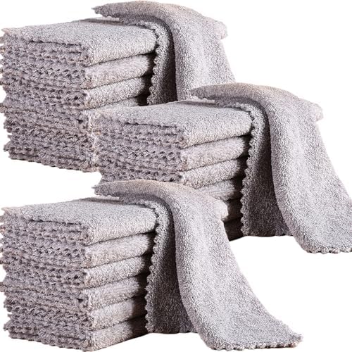 20 Pack Super Soft Dish Cloths 10x10 Coral Velvet Microfiber