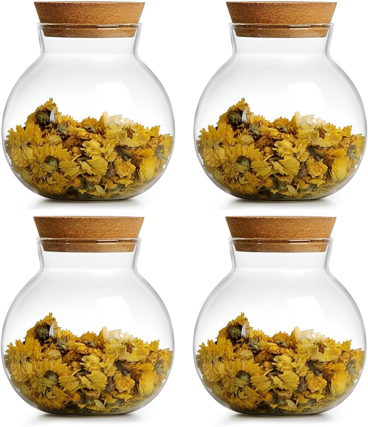 17oz Spherical Glass Jar with Cork Lid Airtight