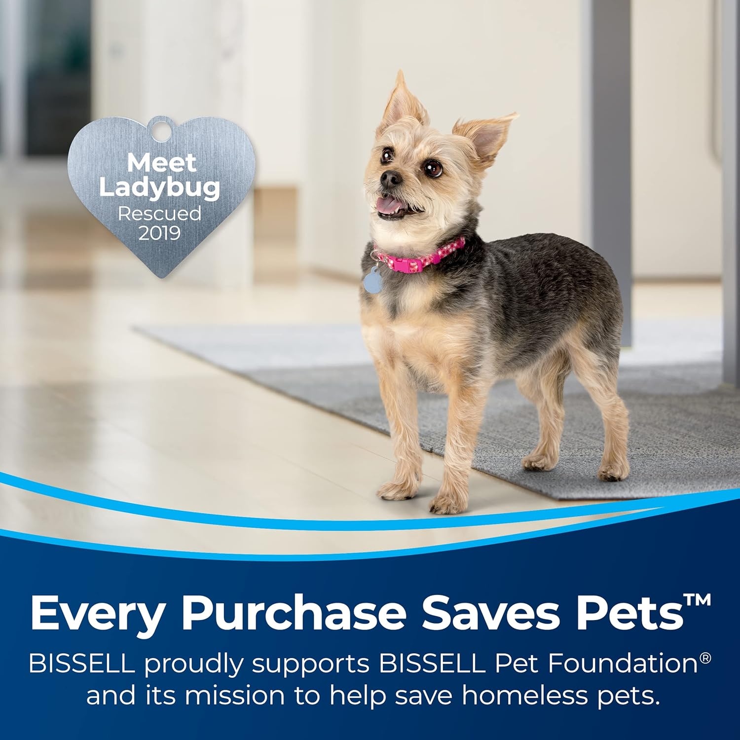 Bissell Stain Eraser Duo Cordless Portable Deep Cleaner and Hand Vacuum