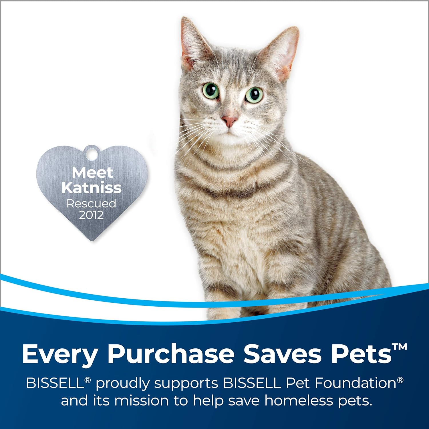 Bissell Spinwave Cordless Pet Hard Floor Mop 18V